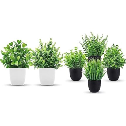 41bc2grnl2l. ac us800 .jpg