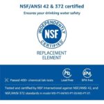 41bndbecorl. ac us800 .jpg