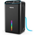 41bp8cxhdvl. ac us800 .jpg