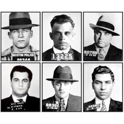 41c6yfvw0l. ac us800 .jpg