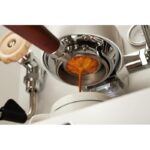 41cwrxsabpl. ac us800 .jpg