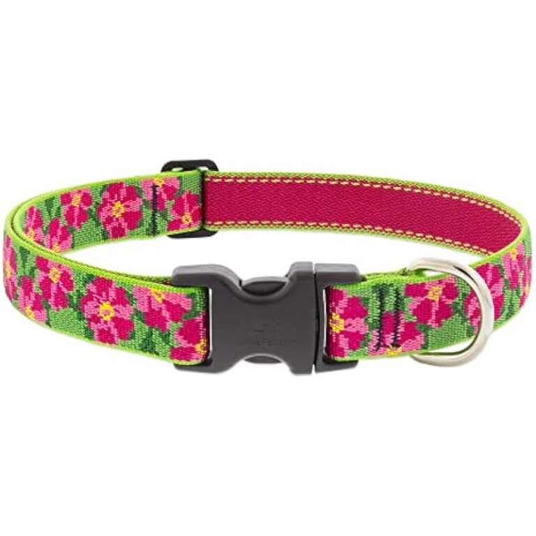 41czvfxzsl. ac us800 .jpg