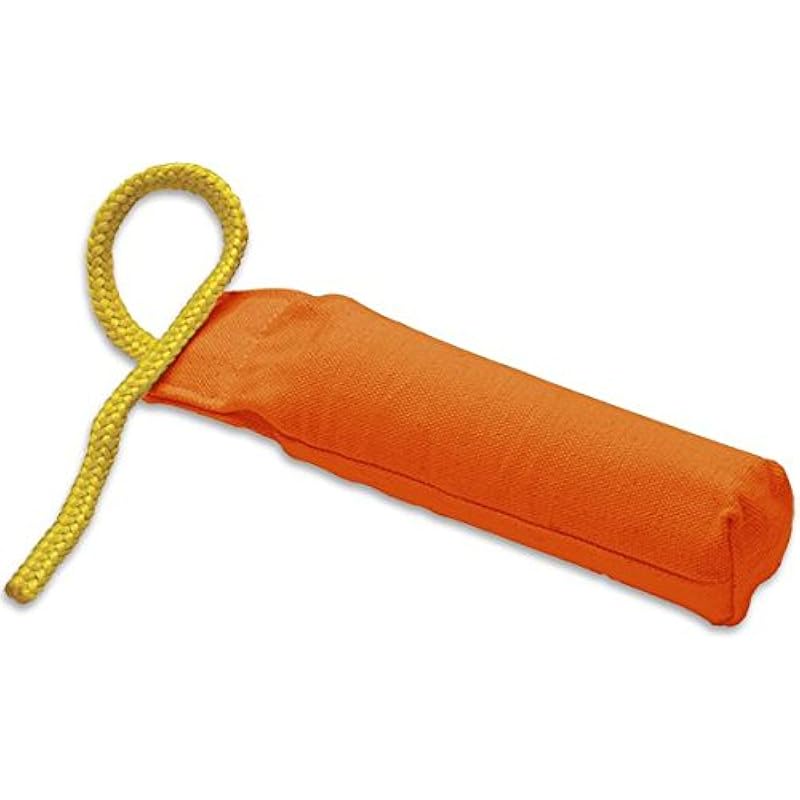 41csdspv6kl. ac us800 .jpg