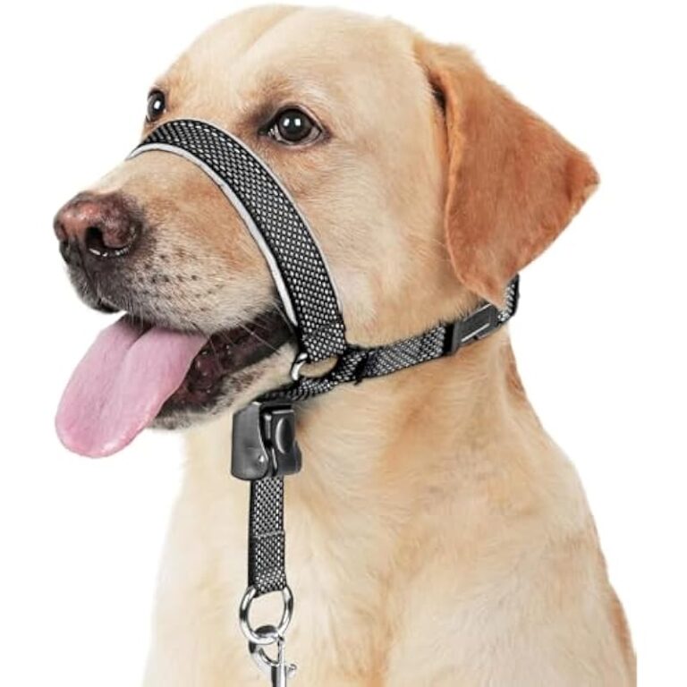 41cwuvgcepl. ac us800 1.jpg