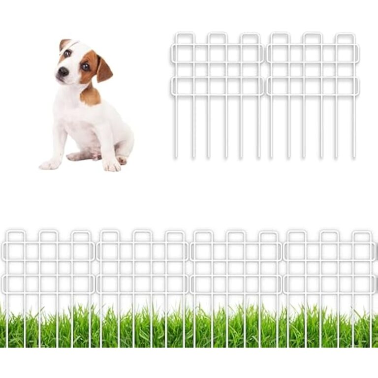 41d2wn0lryl. ac us800 .jpg