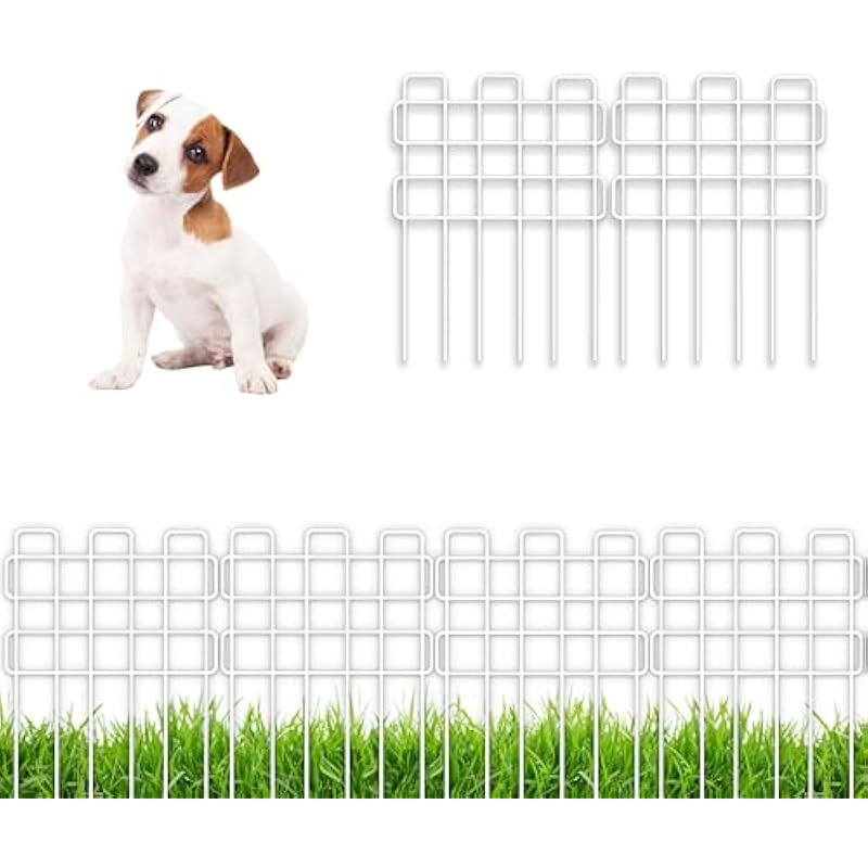 41d2wn0lryl. ac us800 .jpg