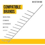 41dawgov9yl. ac us800 .jpg