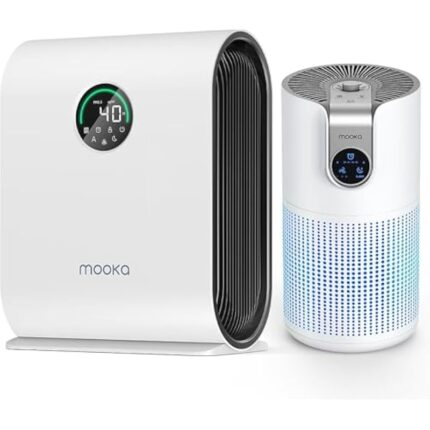 41ddpkylzql. ac us800 .jpg