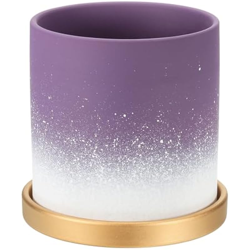 41dn11renyl. ac us800 .jpg