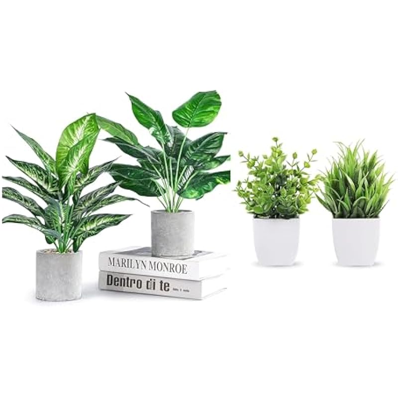 41dwtanvdbl. ac us800 .jpg