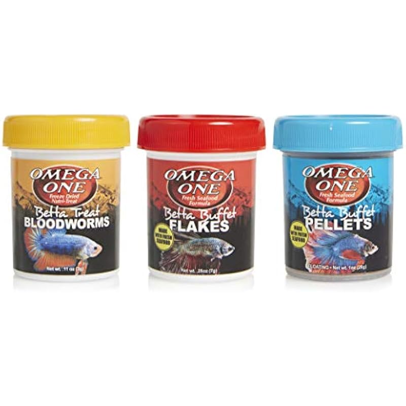 41dkqkooojl. ac us800 .jpg