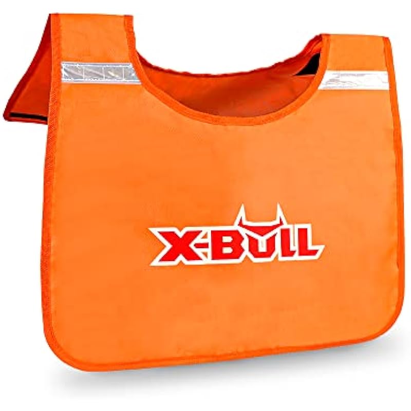 41dmnztt2jl. ac us800 .jpg