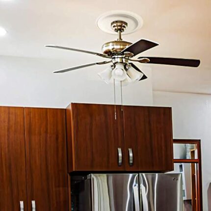 41dwmkjdz2l. ac us800 .jpg