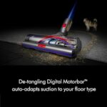 41ebb 5lxol. ac us800 .jpg