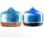 41gno0jnhl. ac us800 .jpg