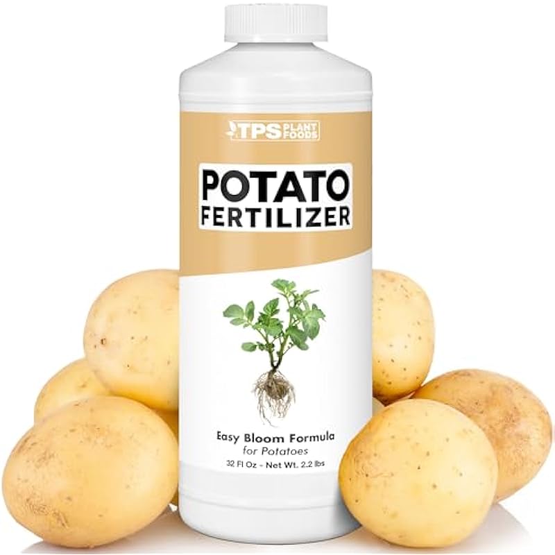 41go1ynhqil. ac us800 .jpg