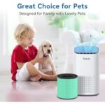 41gd1wjbnal. ac us800 .jpg