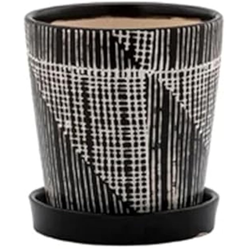 41hqhrhznzl. ac us800 .jpg