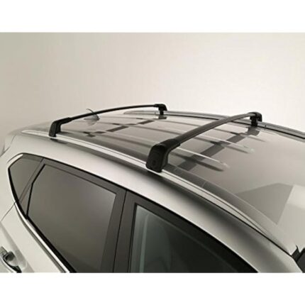 41ivg f4lrl. ac us800 .jpg