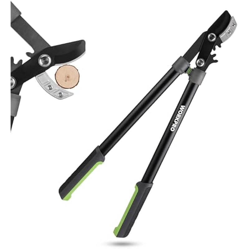 41idszwpjjl. ac us800 .jpg