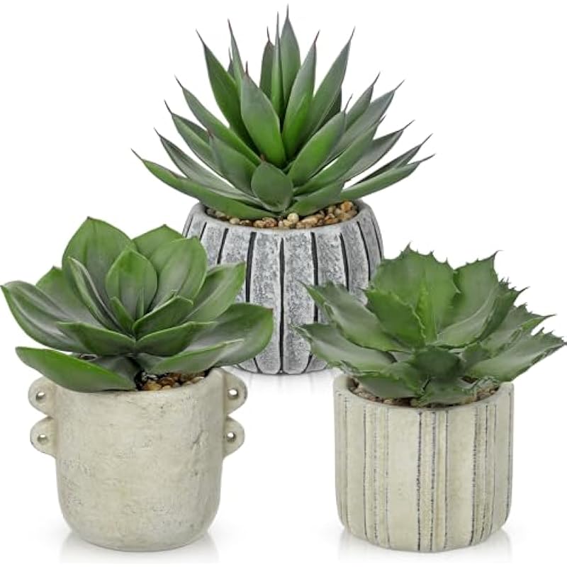 41l qqq1fcl. ac us800 .jpg