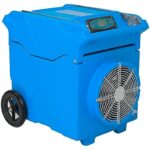 41lnychqscl. ac us800 .jpg