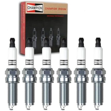 41lvgfeow6l. ac us800 .jpg