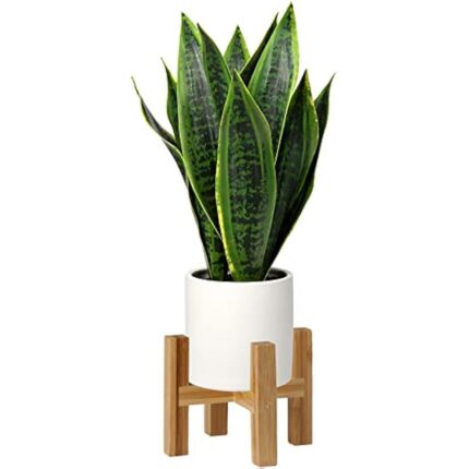 41nwmmgloml. ac us800 .jpg