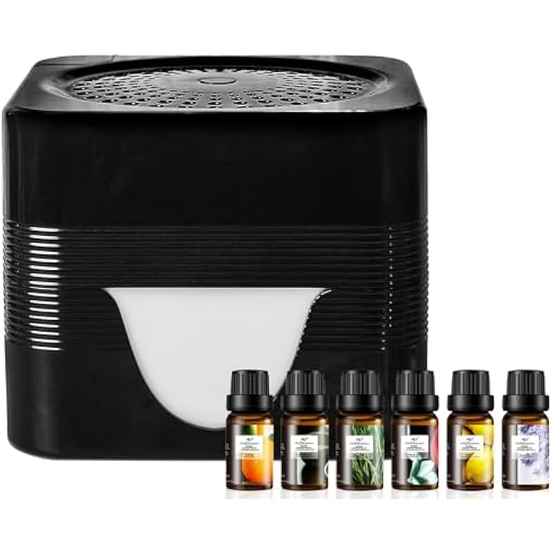 41O0eWy3nL._AC_US800_.jpg 41o0ewy3nl. ac us800 .jpg