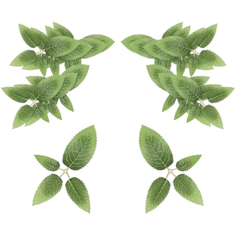 41ofcnpvr0l. ac us800 .jpg