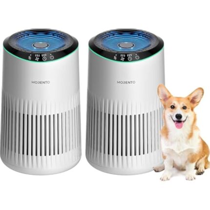 41orawybskl. ac us800 .jpg