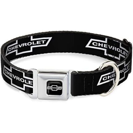 41os7ymbjll. ac us800 .jpg