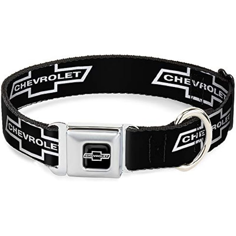 41os7ymbjll. ac us800 .jpg