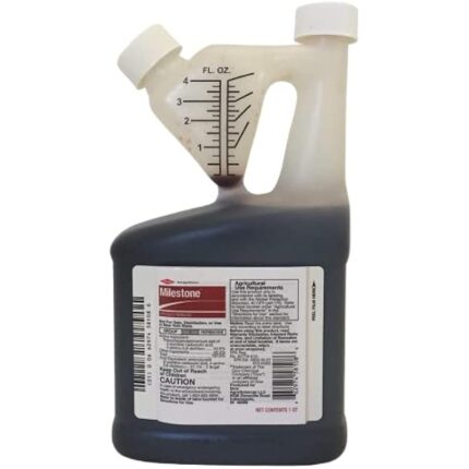 41qnal8mpxl. ac us800 .jpg