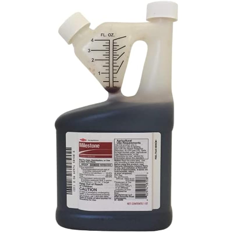 41qnal8mpxl. ac us800 .jpg