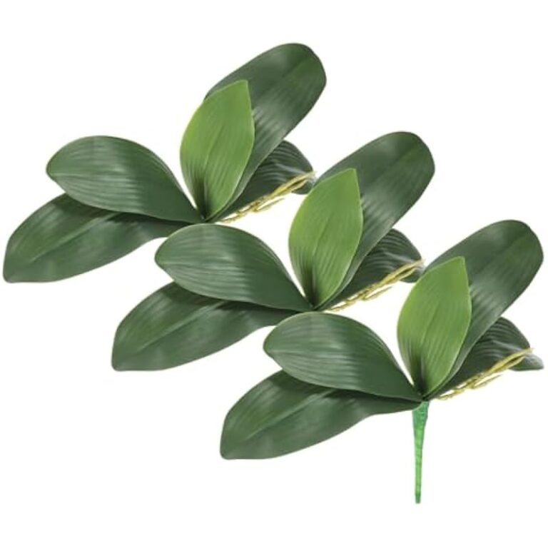 41r65f5hl. ac us800 .jpg