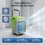 41rgwazykl. ac us800 .jpg