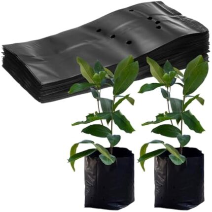 41rl47plel. ac us800 3.jpg