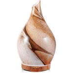 41urkjt6hol. ac us800 .jpg