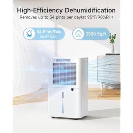 41utycbxphl. ac us800 .jpg