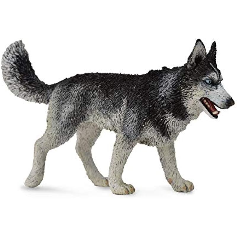 41vjkd xyyl. ac us800 .jpg