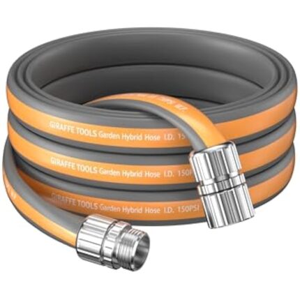 41vjjypsul. ac us800 .jpg