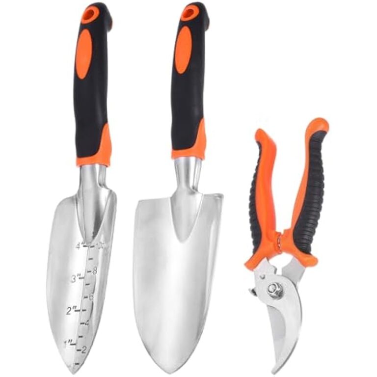 41vvgmybckl. ac us800 .jpg