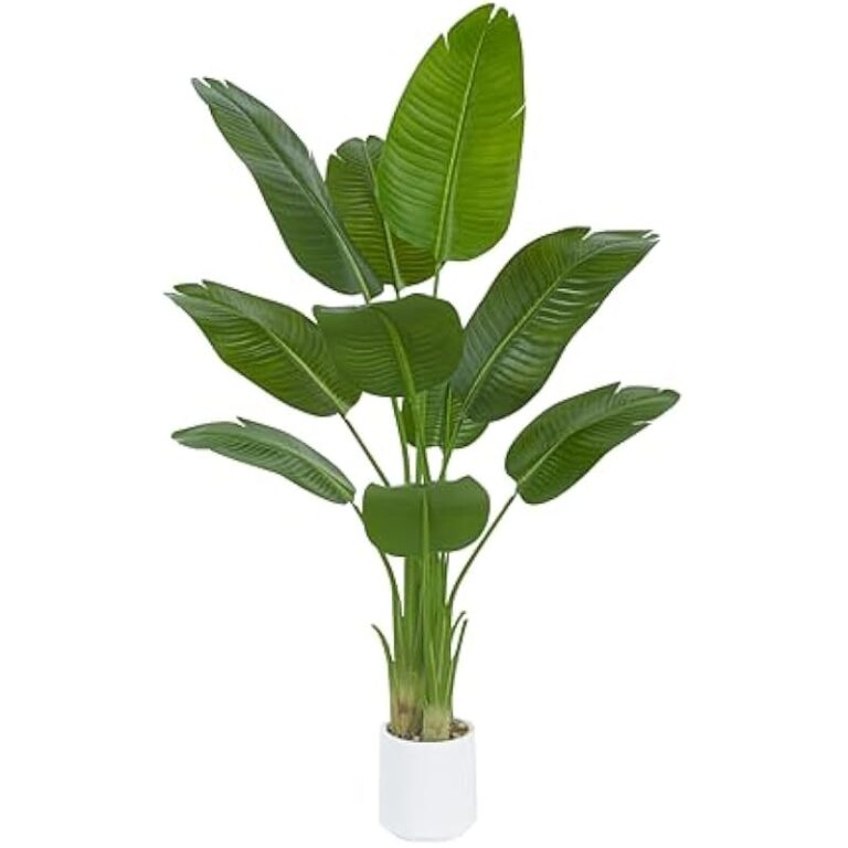 41xuolh2lvl. ac us800 .jpg