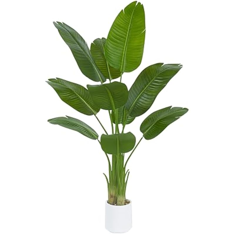 41xuolh2lvl. ac us800 .jpg