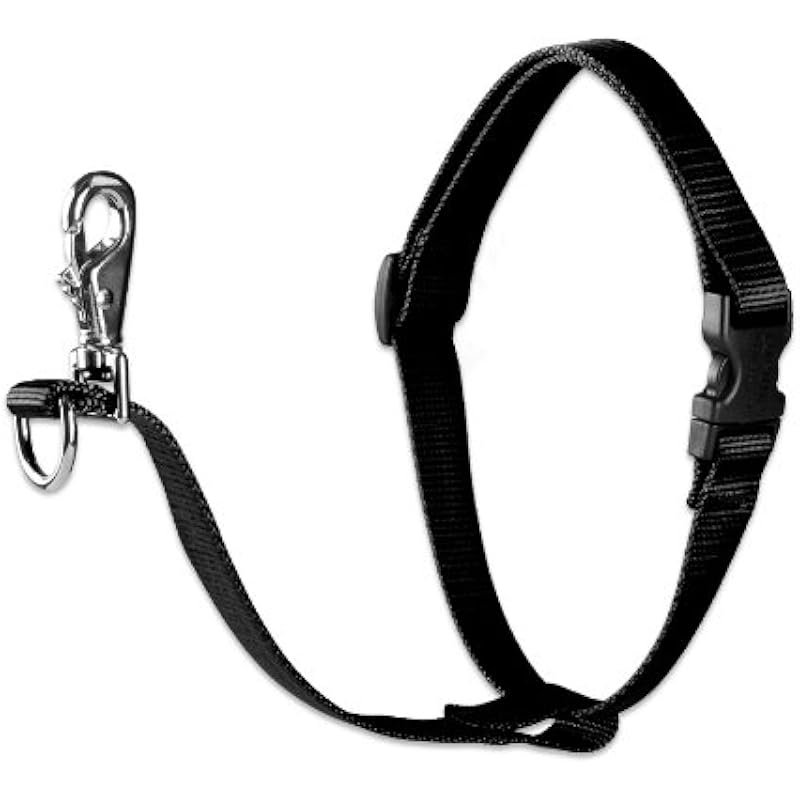 41y7wpf9vsl. ac us800 .jpg