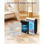 41ygvthgkl. ac us800 .jpg