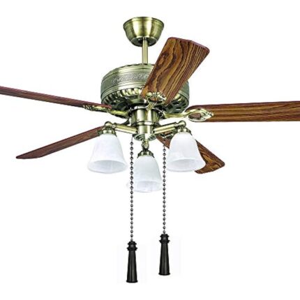 41yr5wogm4l. ac us800 .jpg