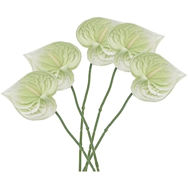 41zgqthothl. ac us800 .jpg