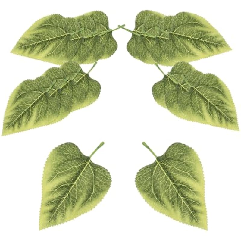 41amzt10yml. ac us800 .jpg